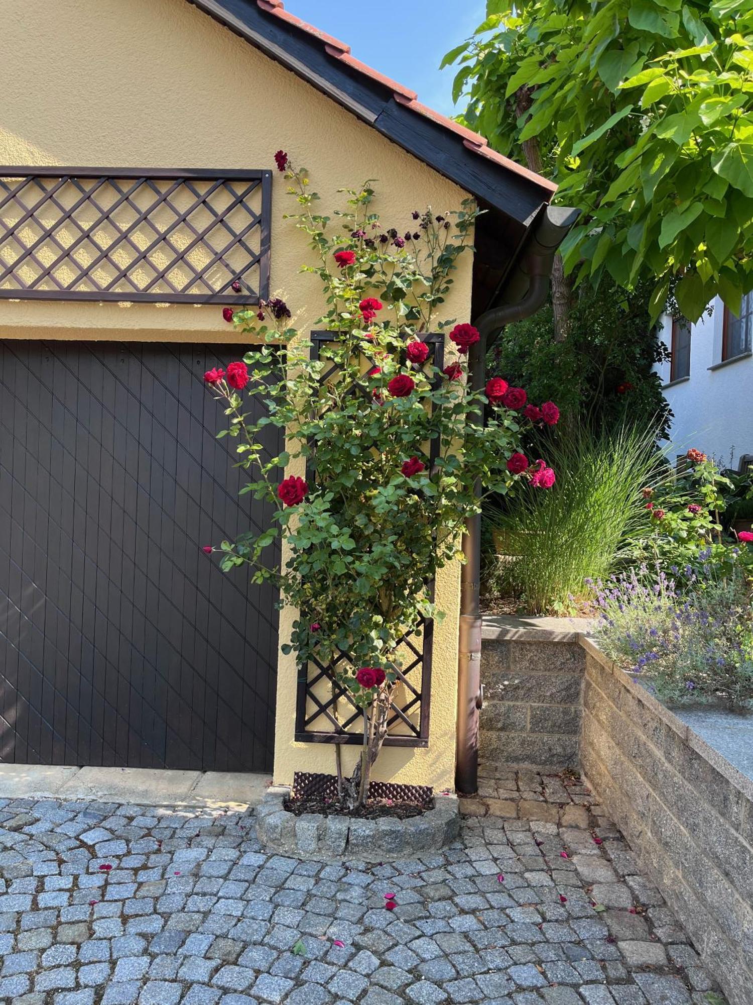 Ferienoase In Der Bierstadt Radeberg Bei Dresden エクステリア 写真